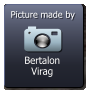 Bertalon Virag  Picture made by