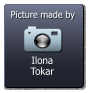 Ilona Tokar  Picture made by