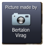 Bertalon Virag  Picture made by